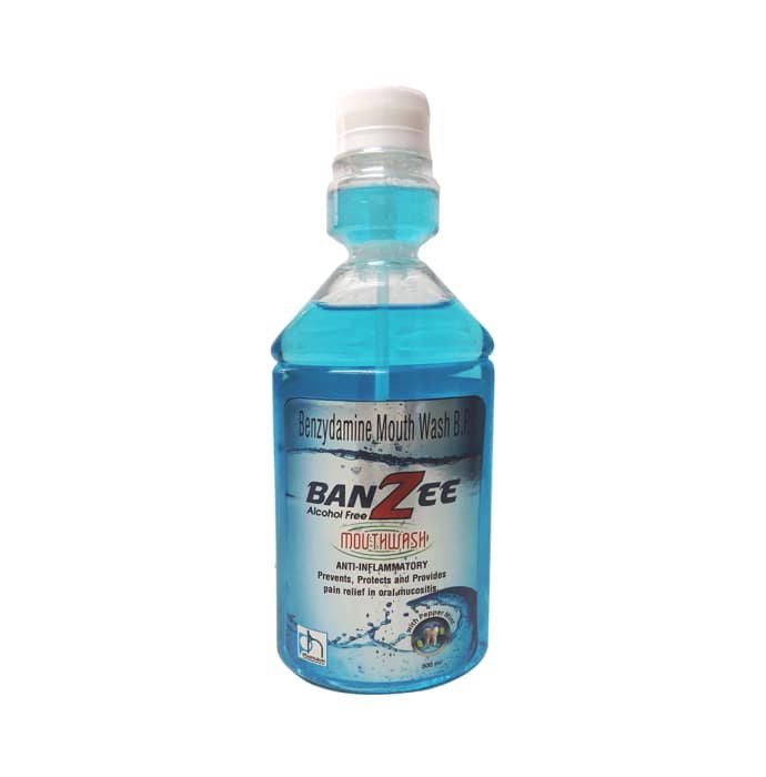 BRETT MOUTH WASH 500ML (MINTY)